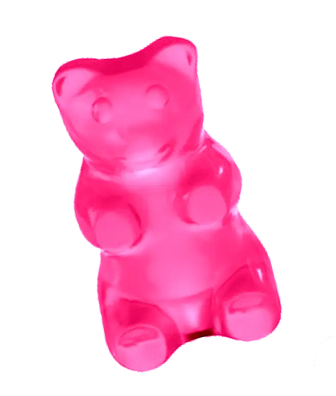 oso rosa